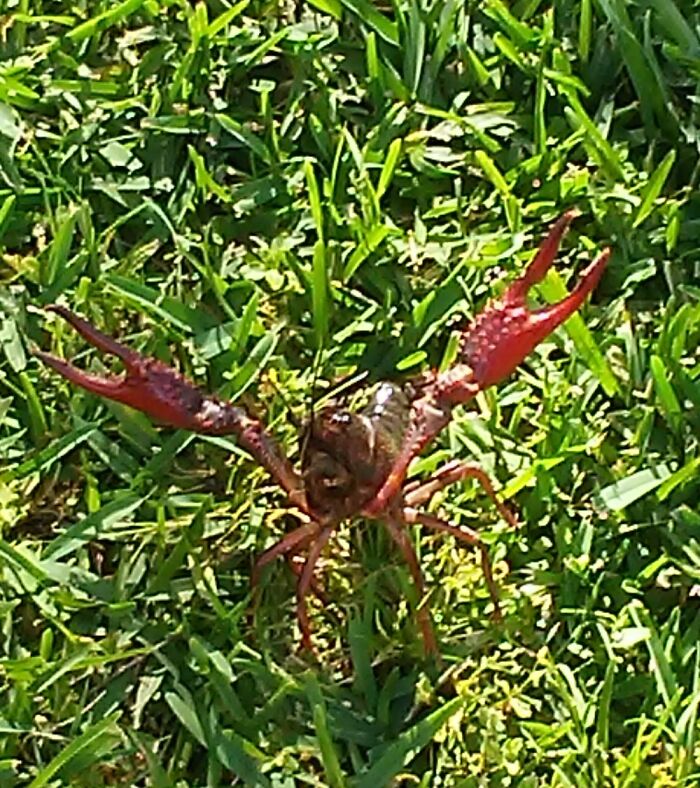 Was Not Happy With Me At All!!