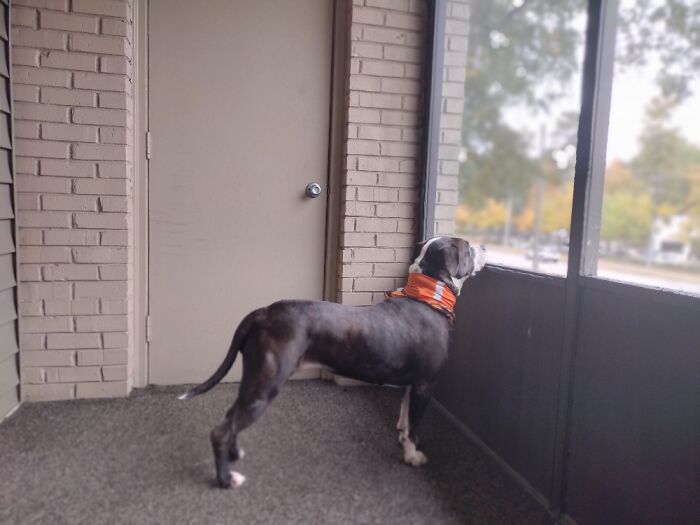 Chelsea, Keeping An Eye On The Neighborhood