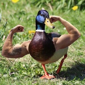 kaleoschannel avatar