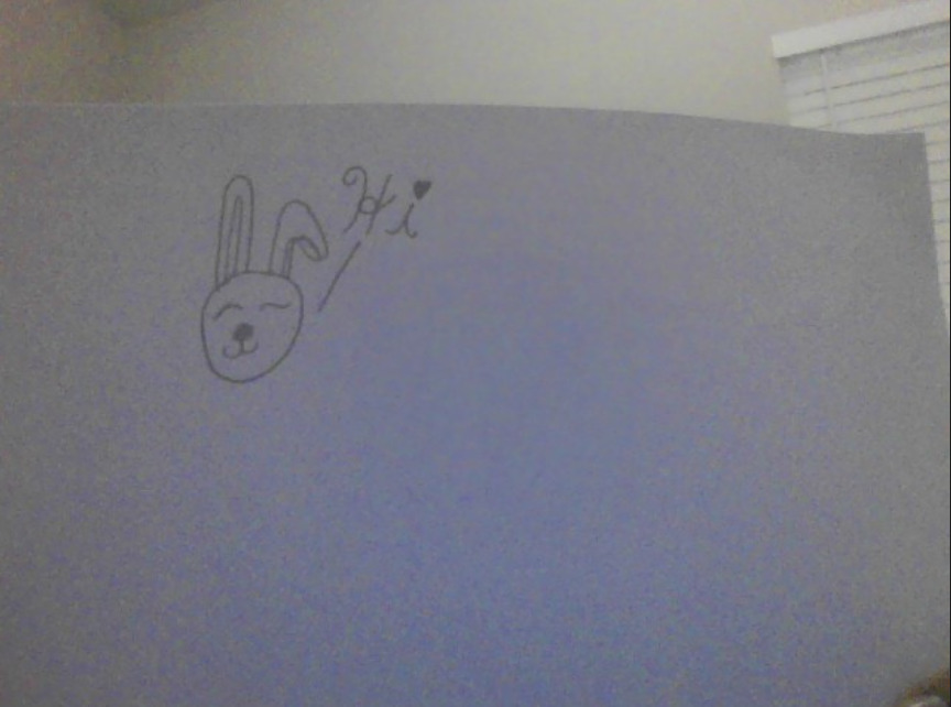 Try To Do The Most Cute Bunny/Dog/Cat