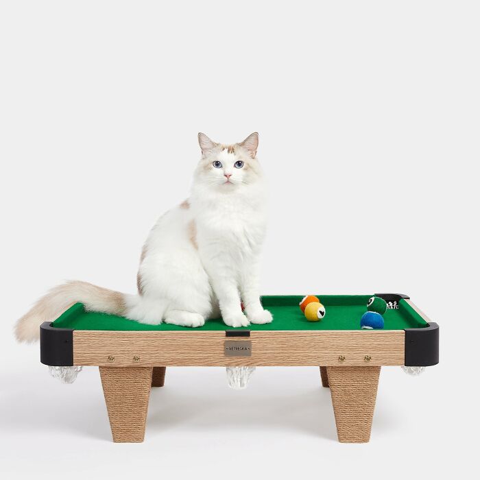White cat sitting on a mini pool table White cat sitting on a mini pool table