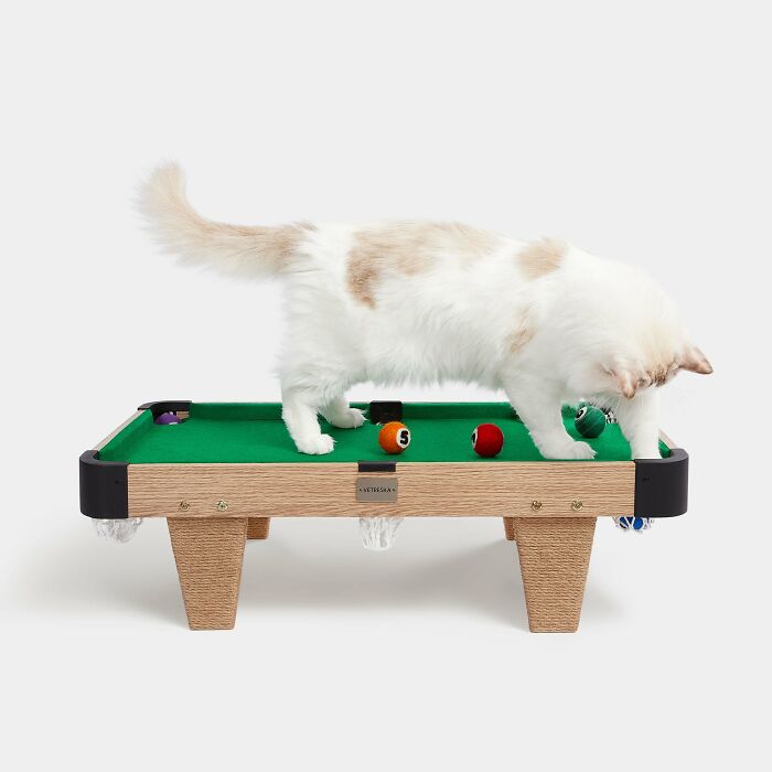 Cat walking on a mini pool table Cat walking on a mini pool table