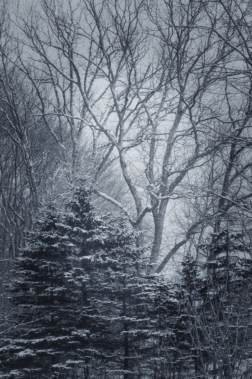 Snow In New England In Our Backyard