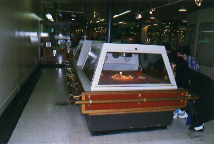 “Today I Learned”: 40 Lesser-Known Things About The World That Should Be Common Knowledge (New Pics)