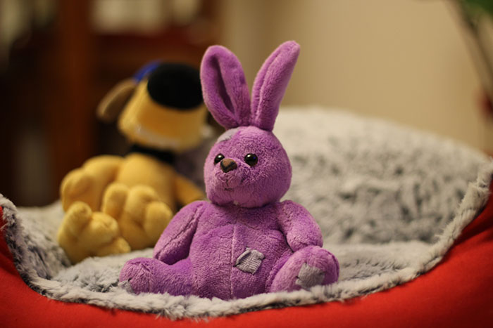 Pink bunny plush toy