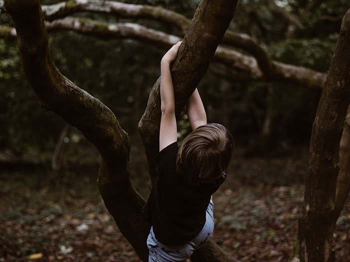 Child hanging on tree