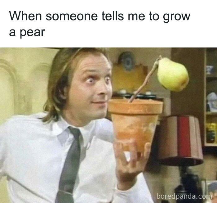 Man holding a potted plant with a pear on a stick, humorously captioned about relationships.