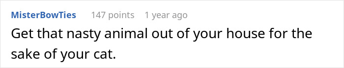 Man Gives His Pregnant SIL The Boot Upon Finding Out She Abandoned His Cat On The Streets Man Gives His Pregnant SIL The Boot Upon Finding Out She Abandoned His Cat On The Streets