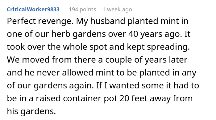 "By The Time This Problem Becomes Obvious, We Will Be Long Gone": Woman Plants Mint In Her Partner's Family's Garden To Get Revenge On Rude Neighbor "By The Time This Problem Becomes Obvious, We Will Be Long Gone": Woman Plants Mint In Her Partner's Family's Garden To Get Revenge On Rude Neighbor