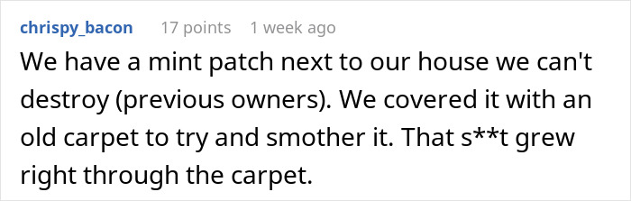 "By The Time This Problem Becomes Obvious, We Will Be Long Gone": Woman Plants Mint In Her Partner's Family's Garden To Get Revenge On Rude Neighbor "By The Time This Problem Becomes Obvious, We Will Be Long Gone": Woman Plants Mint In Her Partner's Family's Garden To Get Revenge On Rude Neighbor