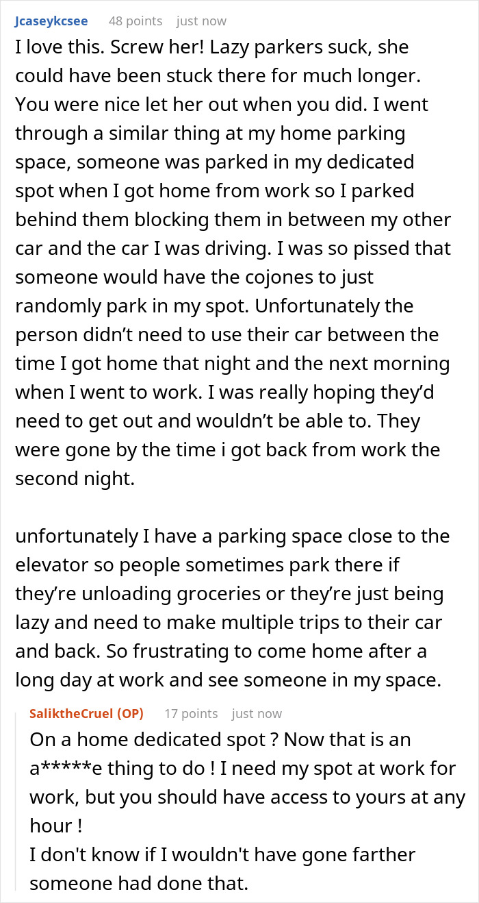 This Woman&rsquo;s Idea Of Stealing Someone&rsquo;s Parking Spot Backfires As The Owner Just Blocks Her Car, Making Her Wait For Almost 2 Hours