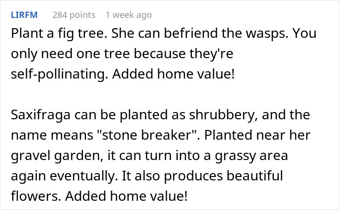 "By The Time This Problem Becomes Obvious, We Will Be Long Gone": Woman Plants Mint In Her Partner's Family's Garden To Get Revenge On Rude Neighbor "By The Time This Problem Becomes Obvious, We Will Be Long Gone": Woman Plants Mint In Her Partner's Family's Garden To Get Revenge On Rude Neighbor
