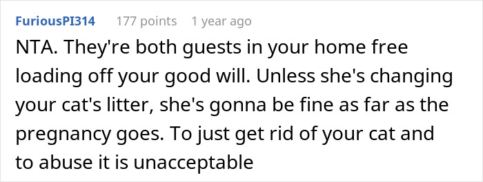 Man Gives His Pregnant SIL The Boot Upon Finding Out She Abandoned His Cat On The Streets Man Gives His Pregnant SIL The Boot Upon Finding Out She Abandoned His Cat On The Streets