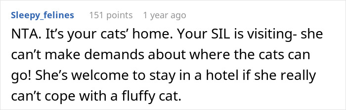 Brother And SIL Come To Visit But Are Upset The Homeowner’s Cat Is Free To Walk Around The House As They Get Startled By It Brother And SIL Come To Visit But Are Upset The Homeowner’s Cat Is Free To Walk Around The House As They Get Startled By It