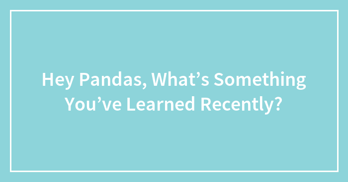 Hey Pandas, What’s Something You’ve Learned Recently? (Closed)