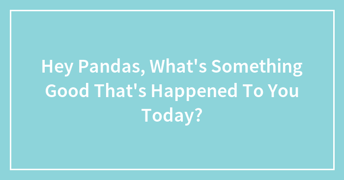 Hey Pandas, What’s Something Good That’s Happened To You Today? (Closed)