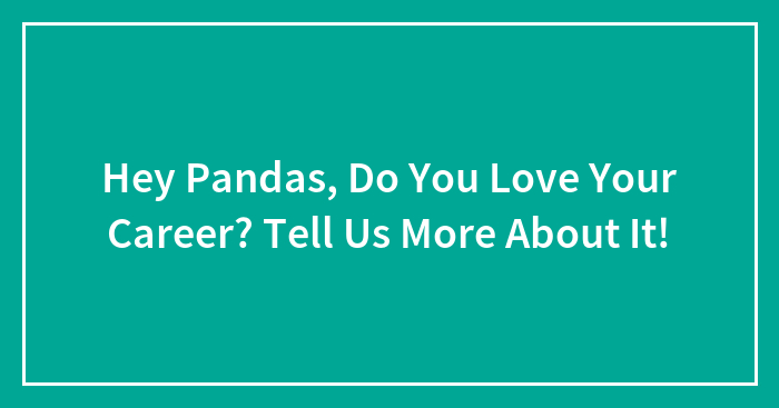 Hey Pandas, Do You Love Your Career? Tell Us More About It! (Closed)