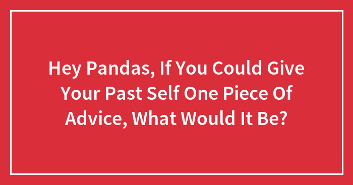 Hey Pandas, If You Could Give Your Past Self One Piece Of Advice, What Would It Be?
