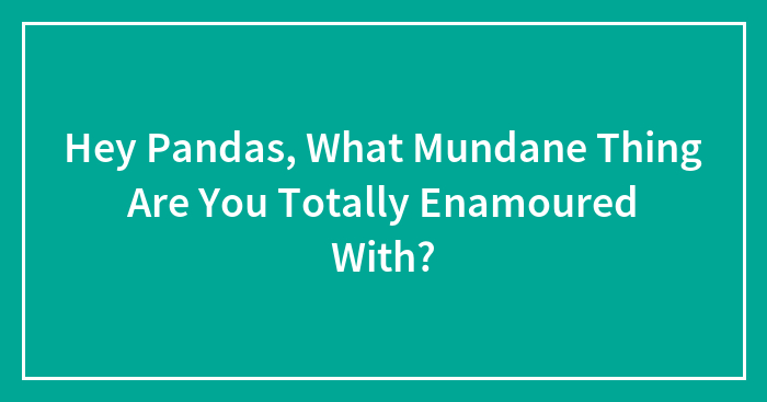Hey Pandas, What Mundane Thing Are You Totally Enamoured With?
