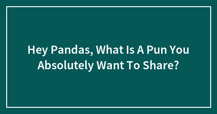 Hey Pandas, What Is A Pun You Absolutely Want To Share? (Closed)