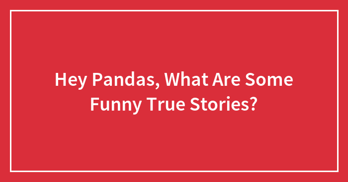 Hey Pandas, What Are Some Funny True Stories? (Closed)