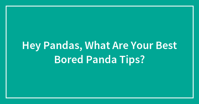 Hey Pandas, What Are Your Best Bored Panda Tips? (Closed)
