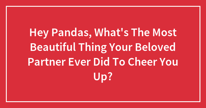Hey Pandas, What’s The Most Beautiful Thing Your Beloved Partner Ever Did To Cheer You Up?