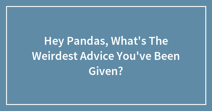 Hey Pandas, What’s The Weirdest Advice You’ve Been Given? (Closed)