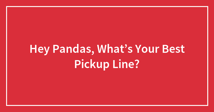 Hey Pandas, What’s Your Best Pickup Line? (Closed)