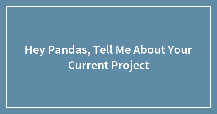 Hey Pandas, Tell Me About Your Current Project