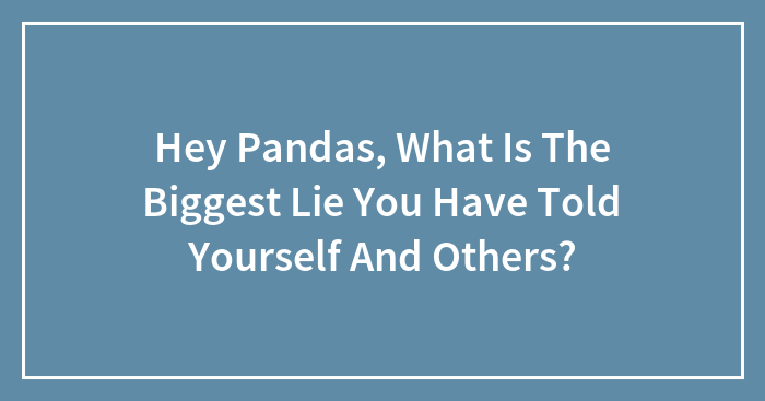 Hey Pandas, What Is The Biggest Lie You Have Told Yourself And Others? (Closed)