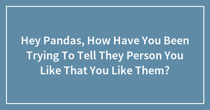 Hey Pandas, How Have You Been Trying To Tell They Person You Like That You Like Them?