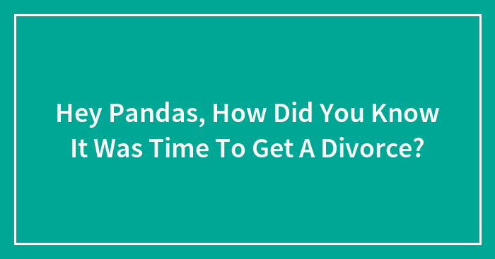 Hey Pandas, How Did You Know It Was Time To Get A Divorce? (Closed)