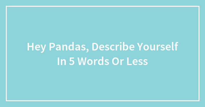Hey Pandas, Describe Yourself In 5 Words Or Less (Closed)