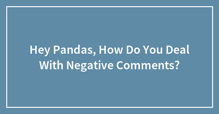 Hey Pandas, How Do You Deal With Negative Comments? (Closed)