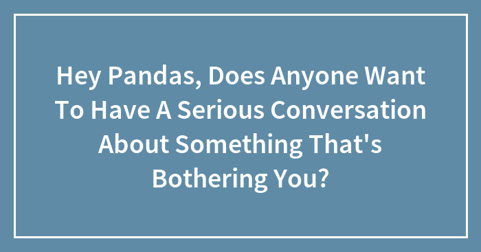 Hey Pandas, Does Anyone Want To Have A Serious Conversation About Something That’s Bothering You?