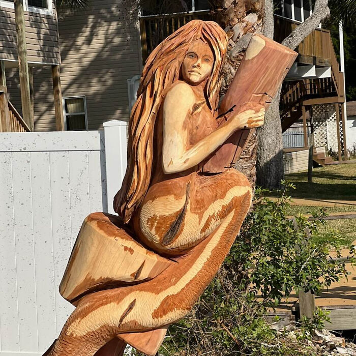 From Cedar Tree To Mermaid (5 Pics)