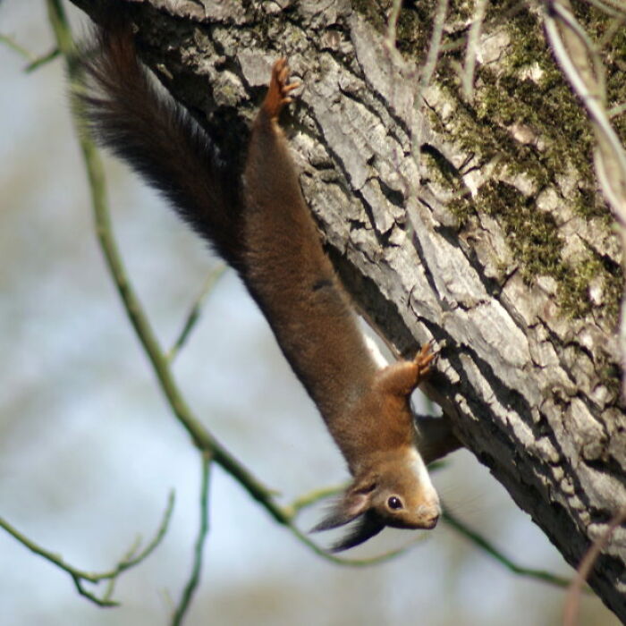 Hey Pandas, Post The Best Photographs You Took In February