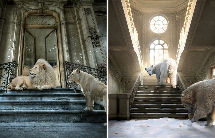 Capturing The Resilience Of Nature: My Evolving ‘Marvels’ Collection (10 Pics)