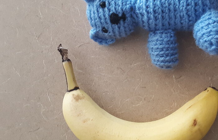 Hey Pandas, Show Me Anything Of Weird Proportion And Add A Banana For Scale (Closed)