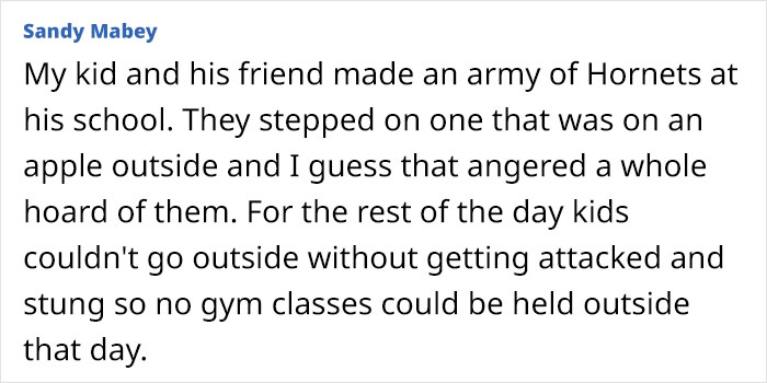 Parent recounts kids creating hornet army at school, causing chaos and stings that disrupted outdoor activities for all students.