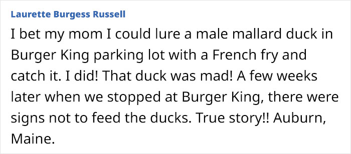 Child lures a wild duck with French fry at a Burger King parking lot in an unhinged and surprising act.