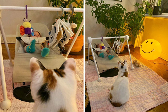 Just Miss Mustard Babysitting Our Infant