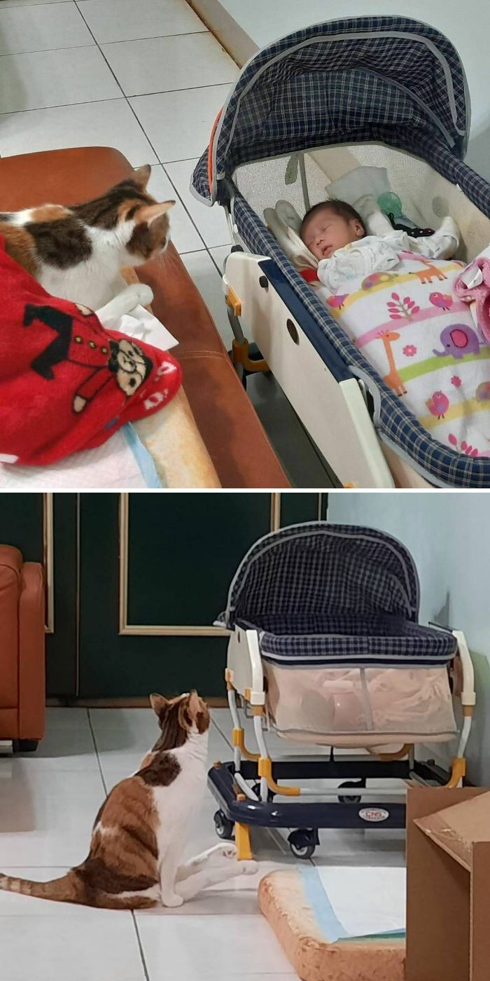 Our Aunt Banban Is Taking Care Of The Little Baby Very Seriously