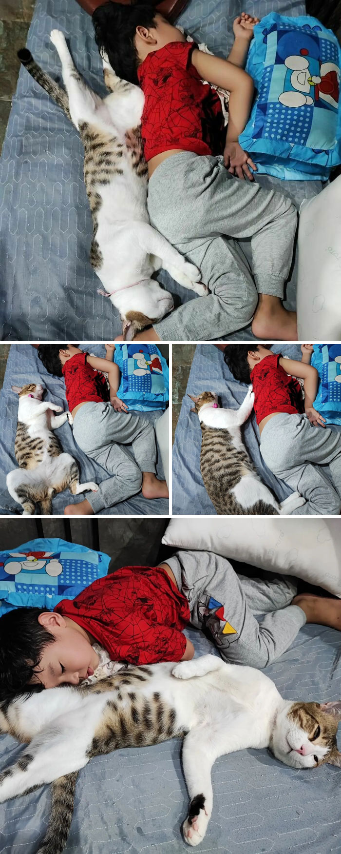 Nanny Sleeps When The Baby Sleeps