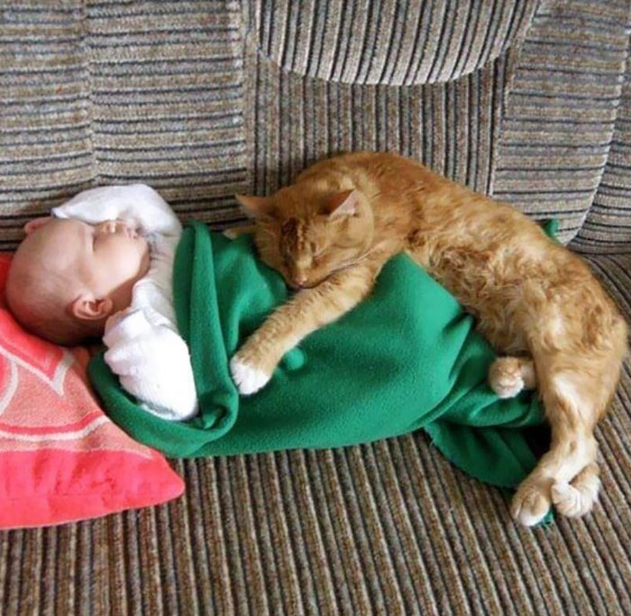 Nanny Will Take Care Of The Baby Now