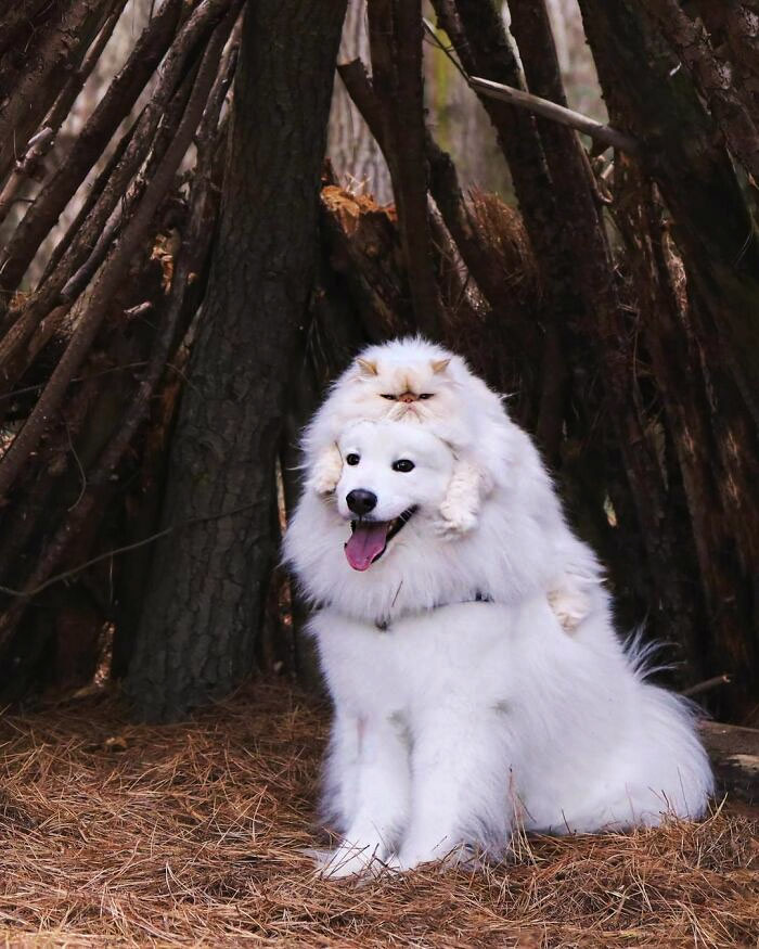 Casper: "I Love You From The Top Of My Head"