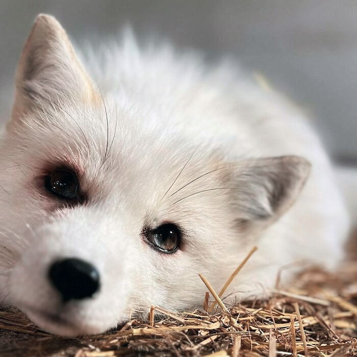 I Love That Little Bit Of Blue In Her Eyes So Much