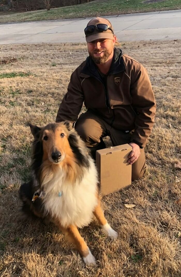 Holly The Collie From Cape Girardeau, Missouri Enjoyed Meeting Our UPS Delivery Man In Person!