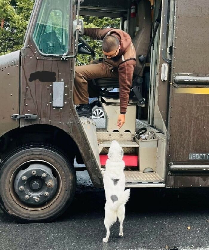 Pacha Loves Her UPS Friend Who Always Brings Her Treats. Frederick, Md